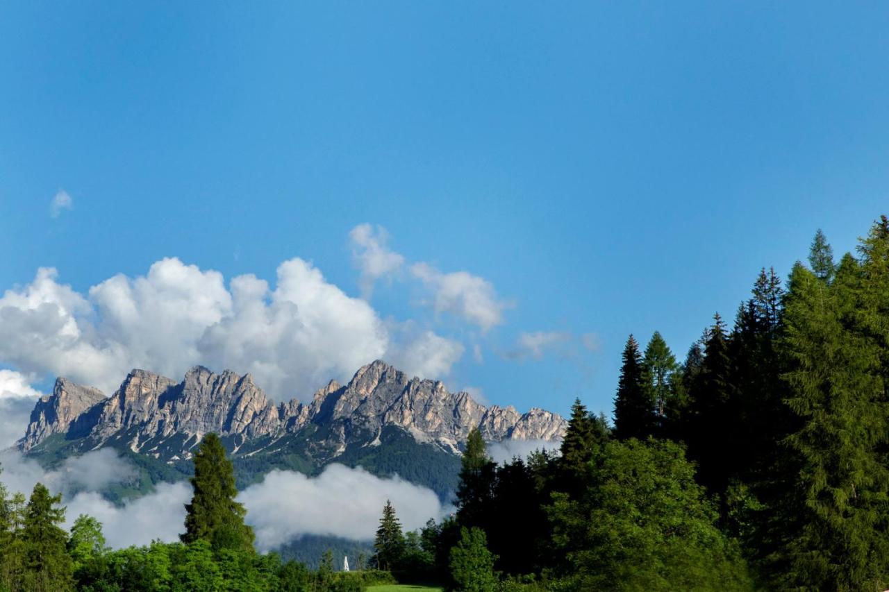 Chalet Del Capriolo Vodo Cadore Kültér fotó